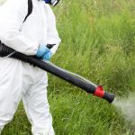 Dezinsectie spatii verzi